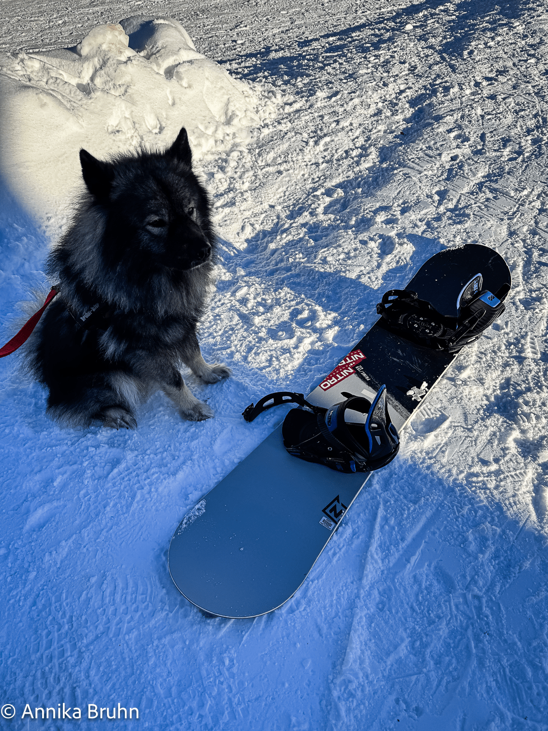 Wirklich Snowboard fahren ich weiß ja nicht